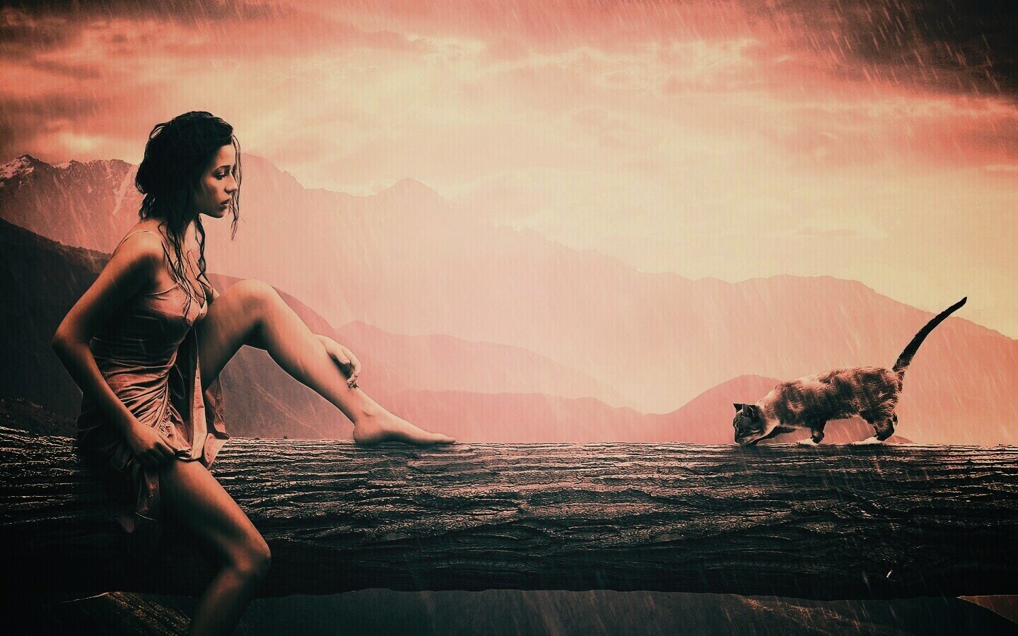 Девушка и кошка обои