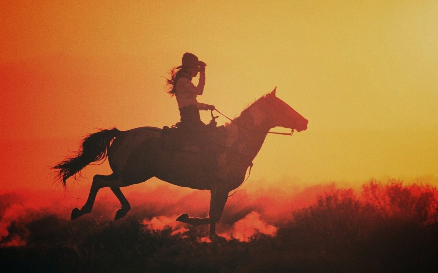 Наездница на закате обои