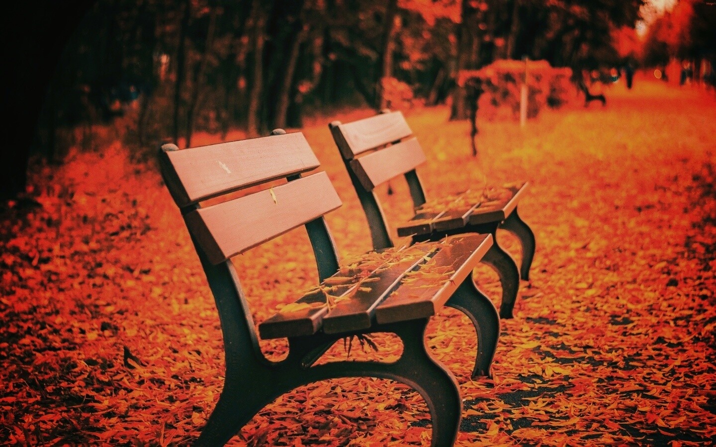 Лавочки в осеннем парке обои