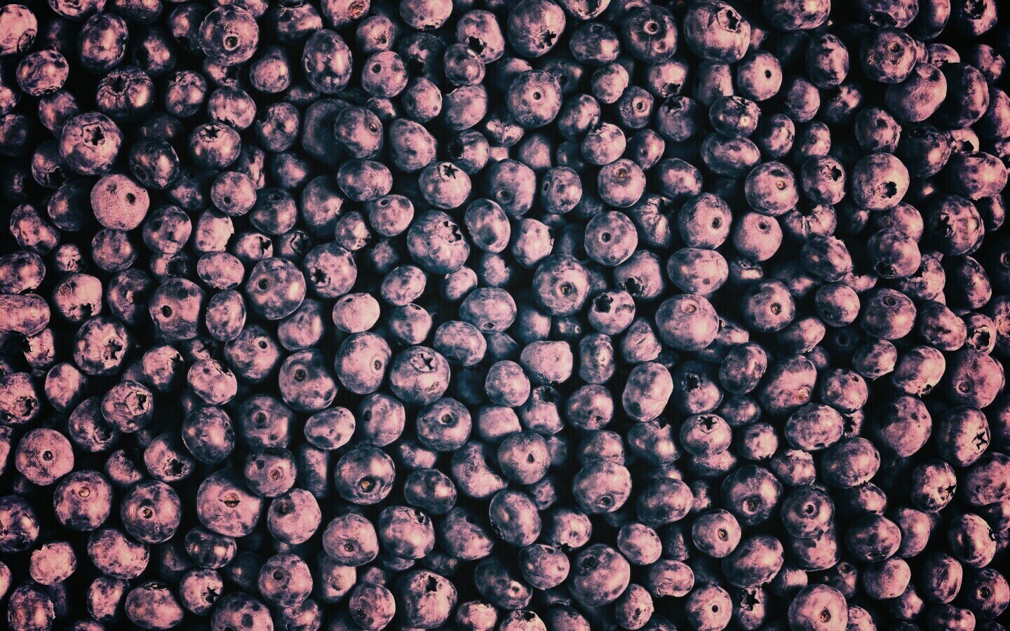 Черника обои