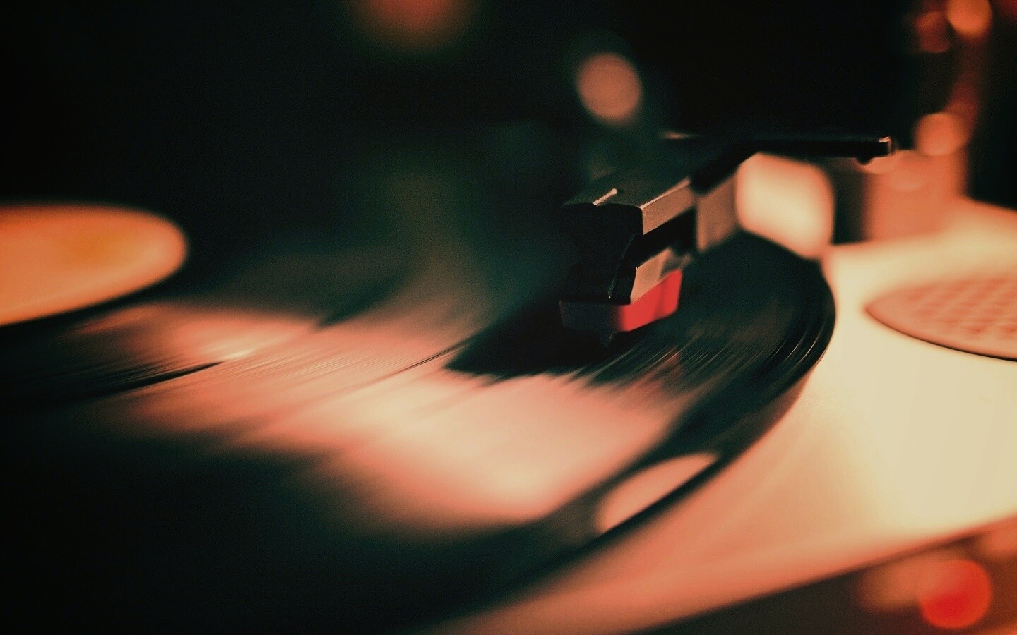 Пластинка обои