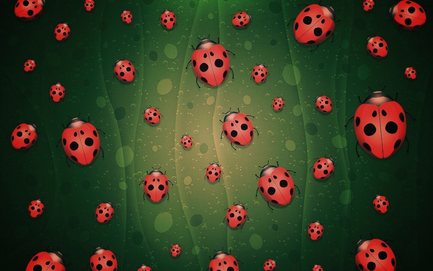 Божьи коровки обои