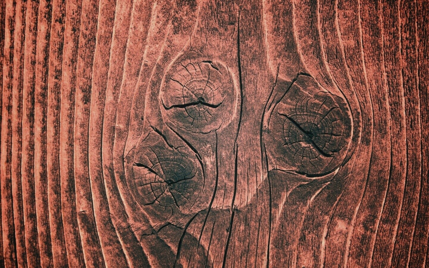 Сучковатое дерево обои