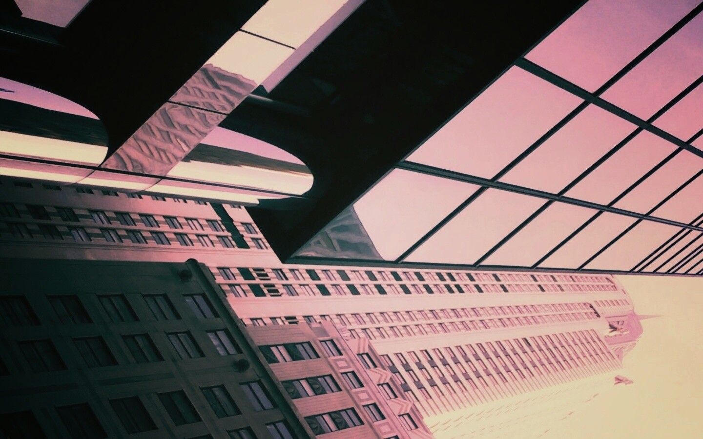 Взгляд вверх обои