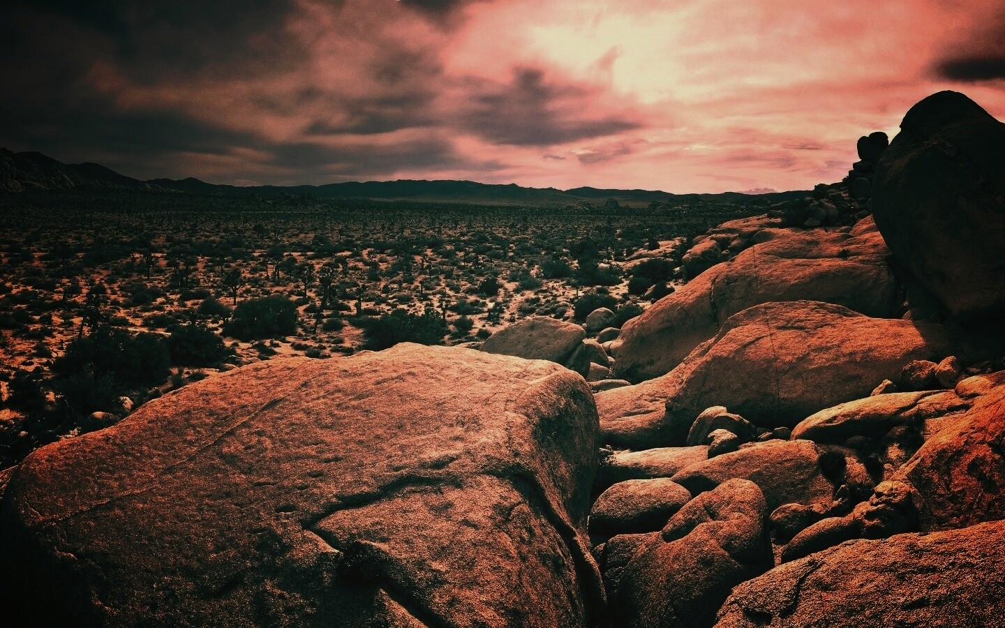 Пустыня Мохаве обои