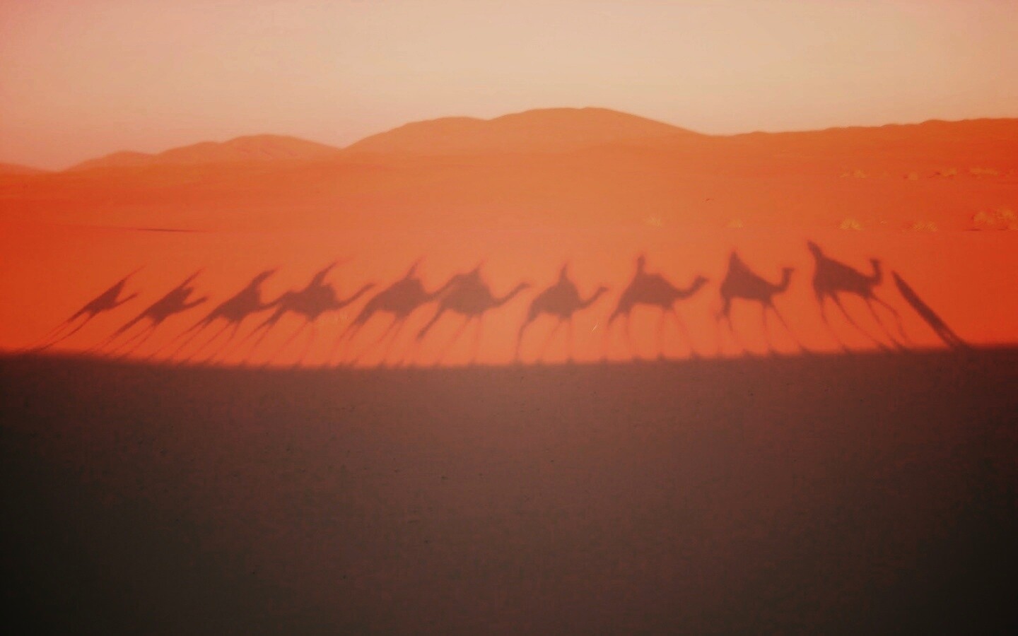 Караван обои