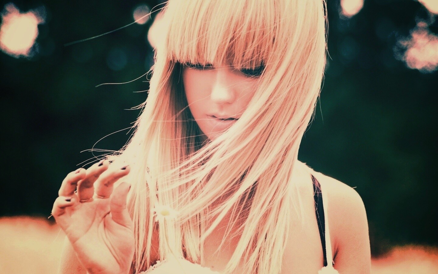 Красивая блондинка с ромашкой обои