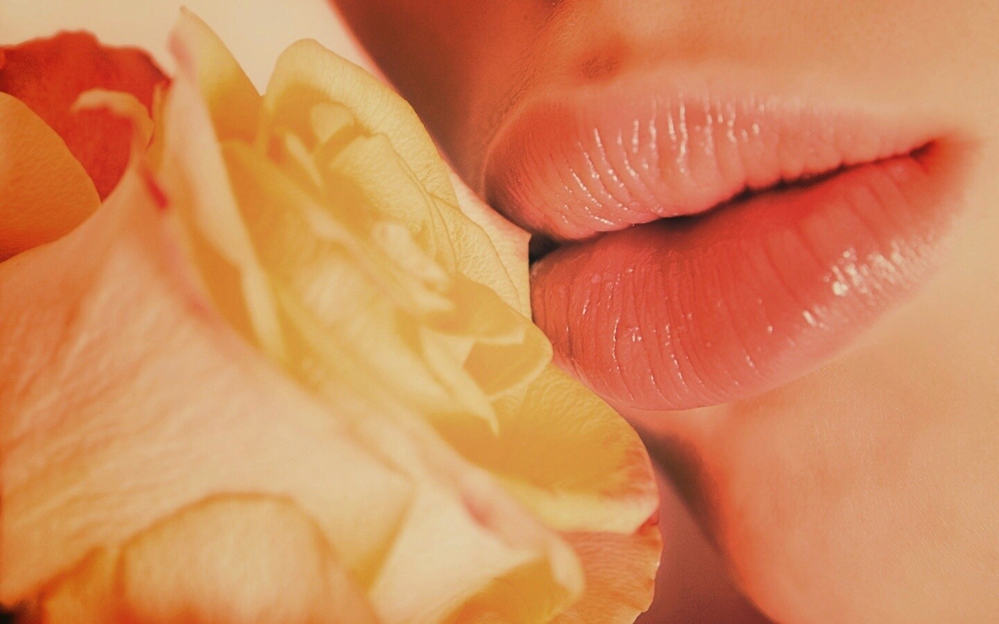 Губы девушки и роза обои