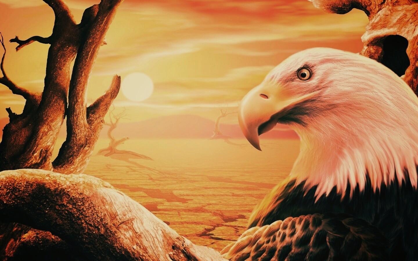 Нарисованный орел обои