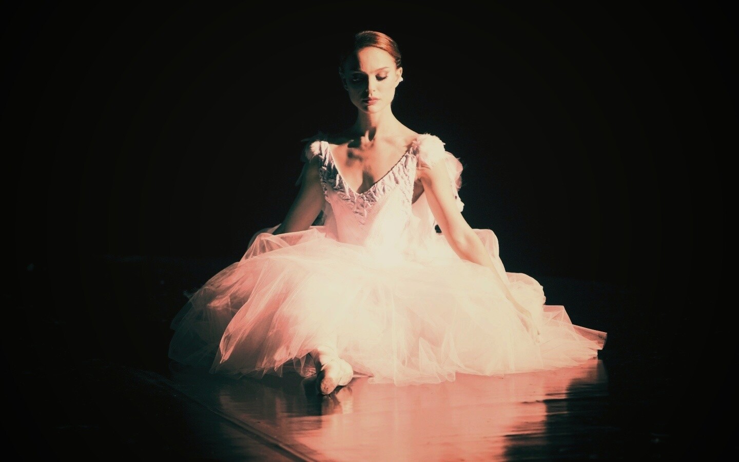 Черный лебедь обои