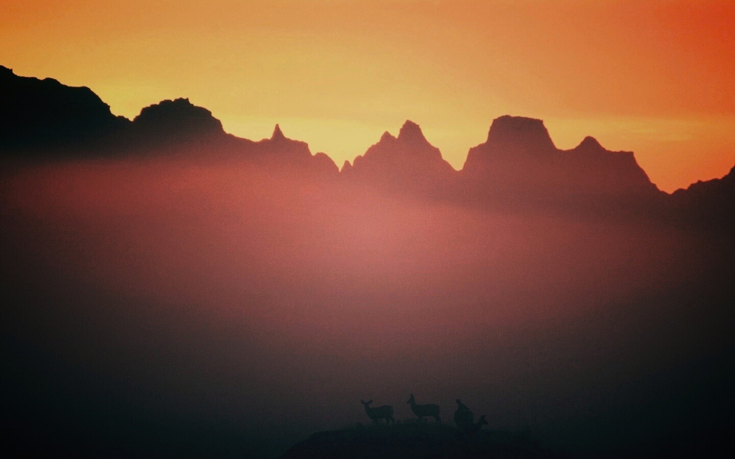 Вечер в национальном парке обои