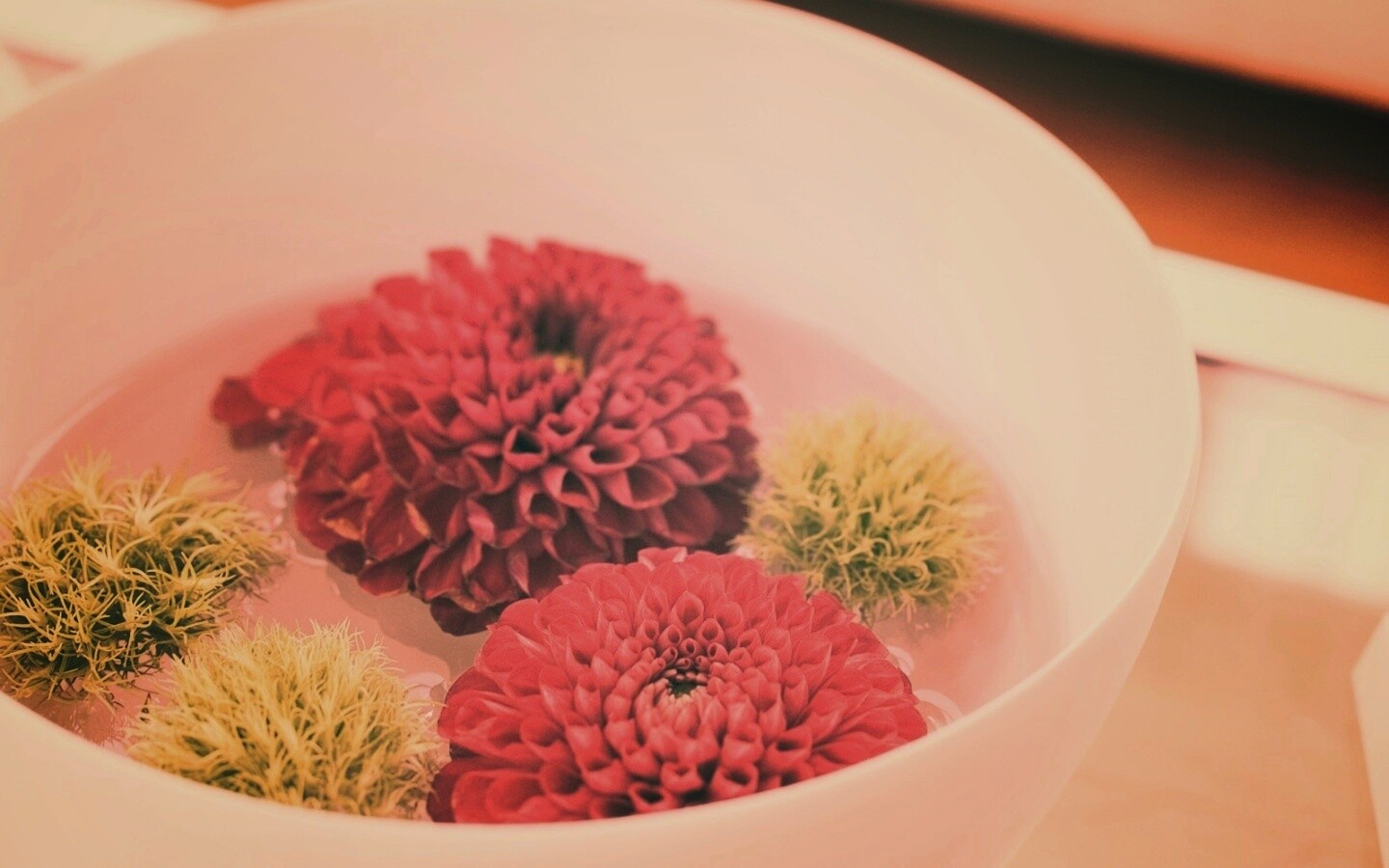 Чаша с цветами обои