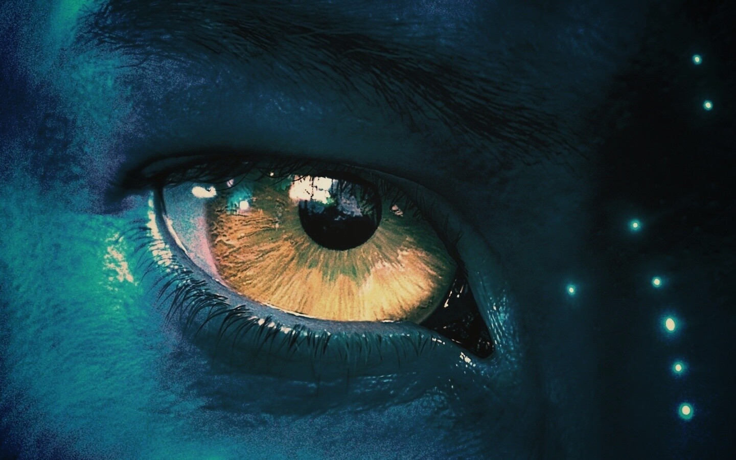 Смотрит прямо в душу обои