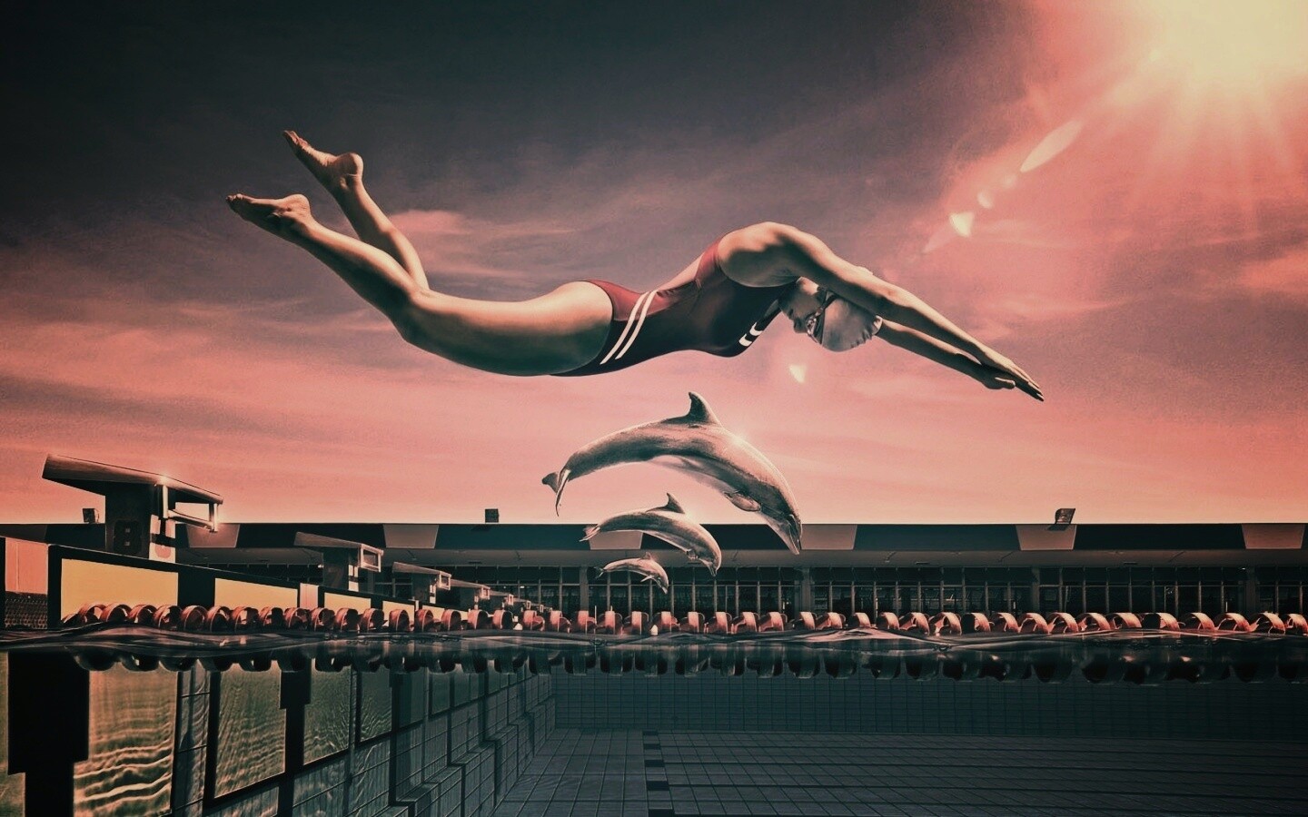 Соревнование обои