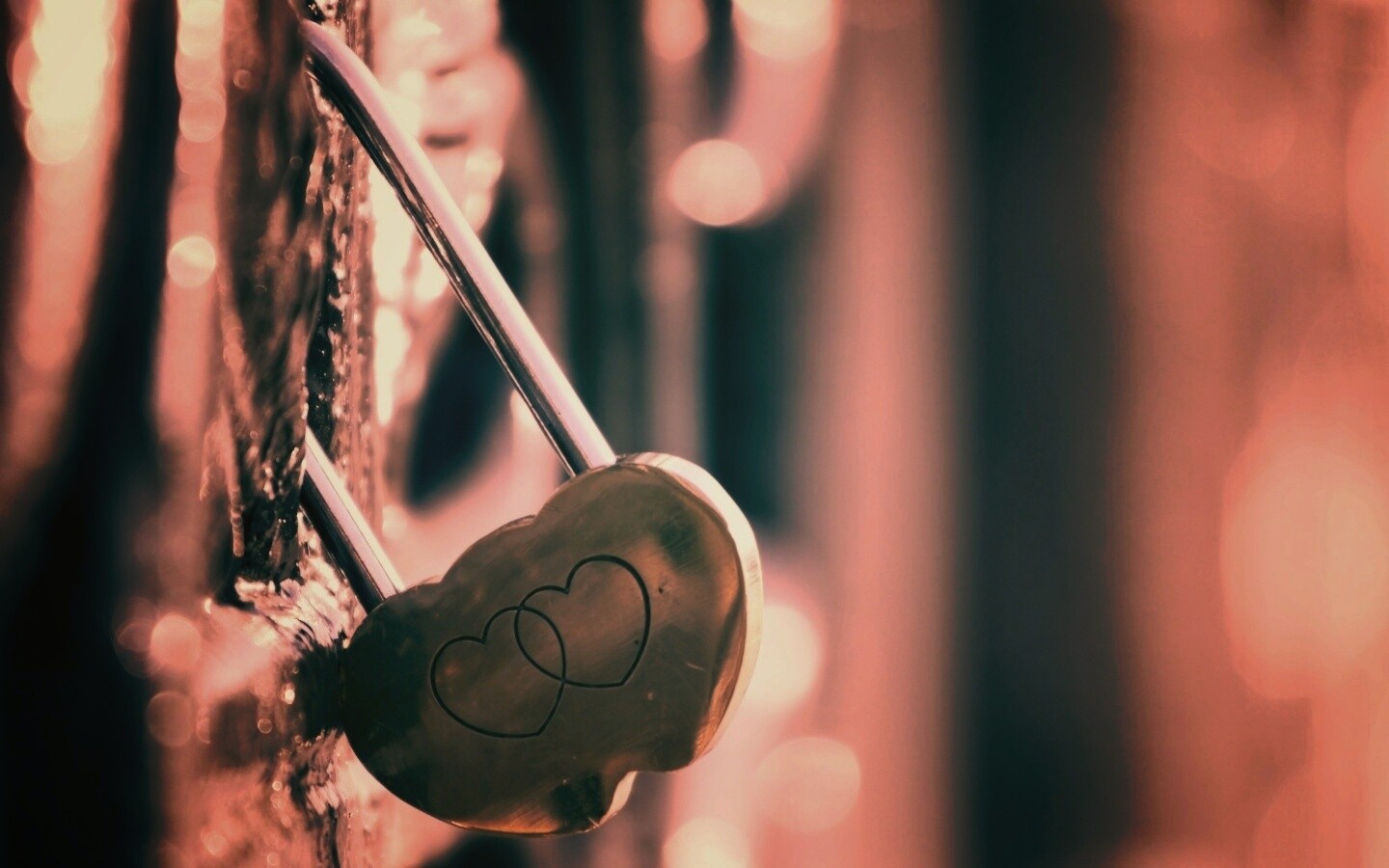 Они вместе обои