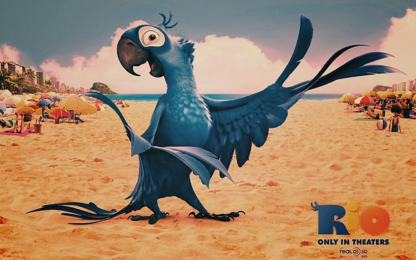 Blu из Rio обои