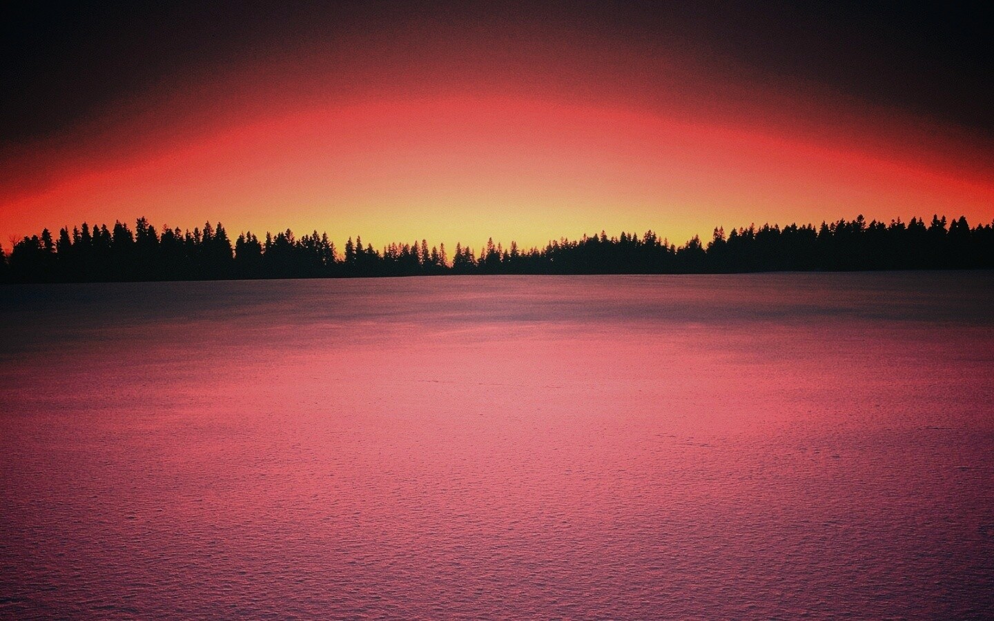 Восход над заснеженным лесом обои