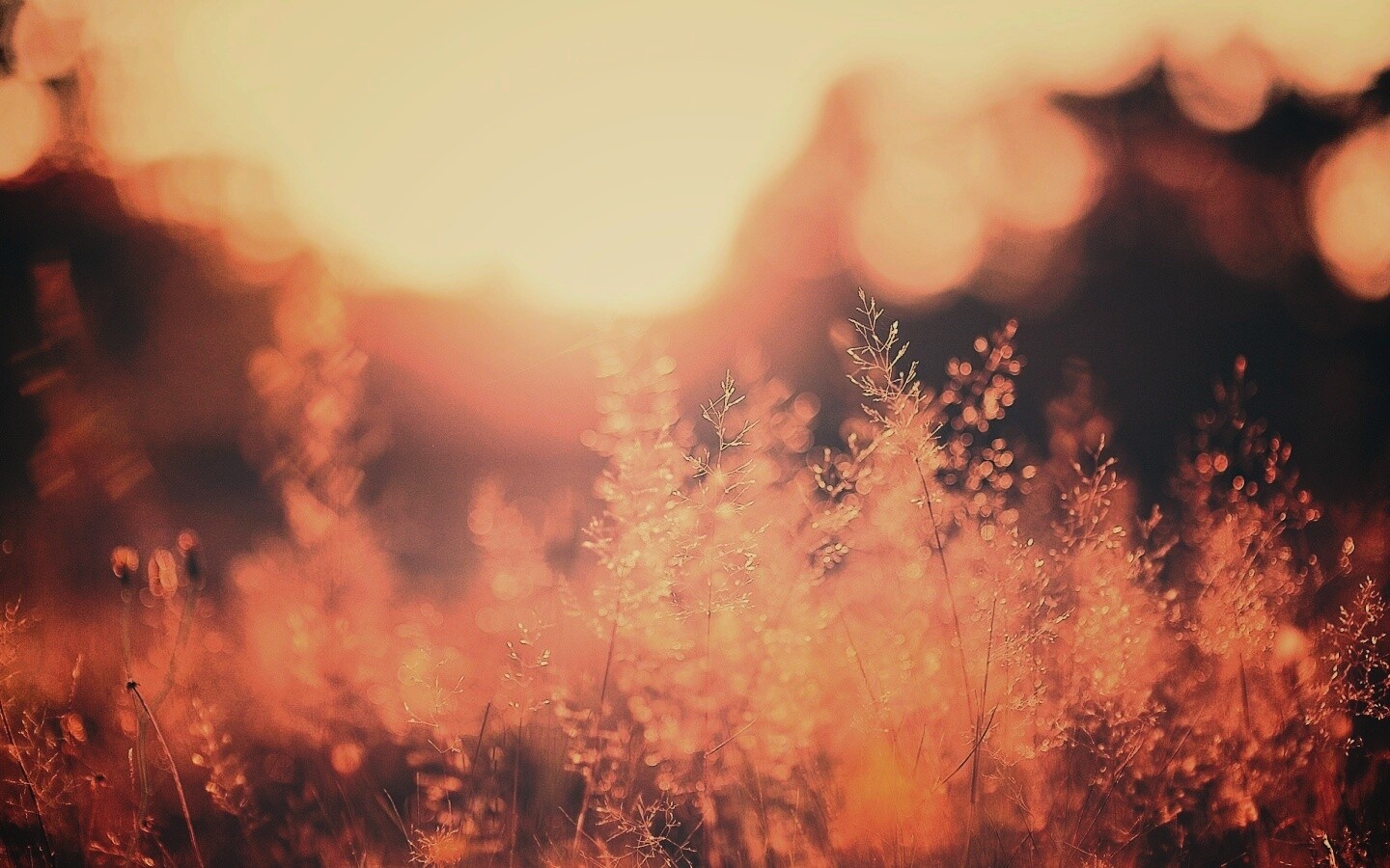 Посмотри на этот мир обои