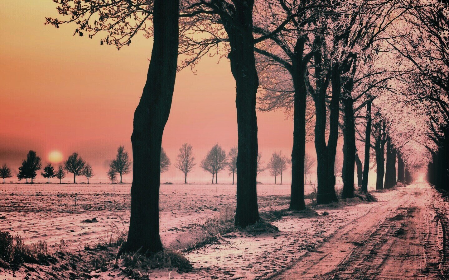 Морозное утро обои