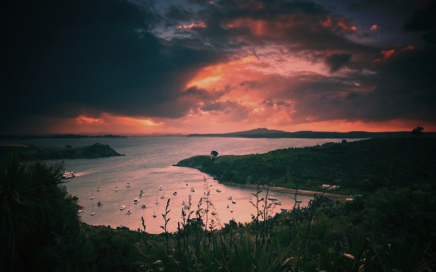 Waiheke Island, New Zealand обои