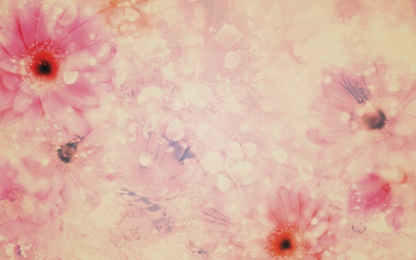 Цветочная эйфория обои