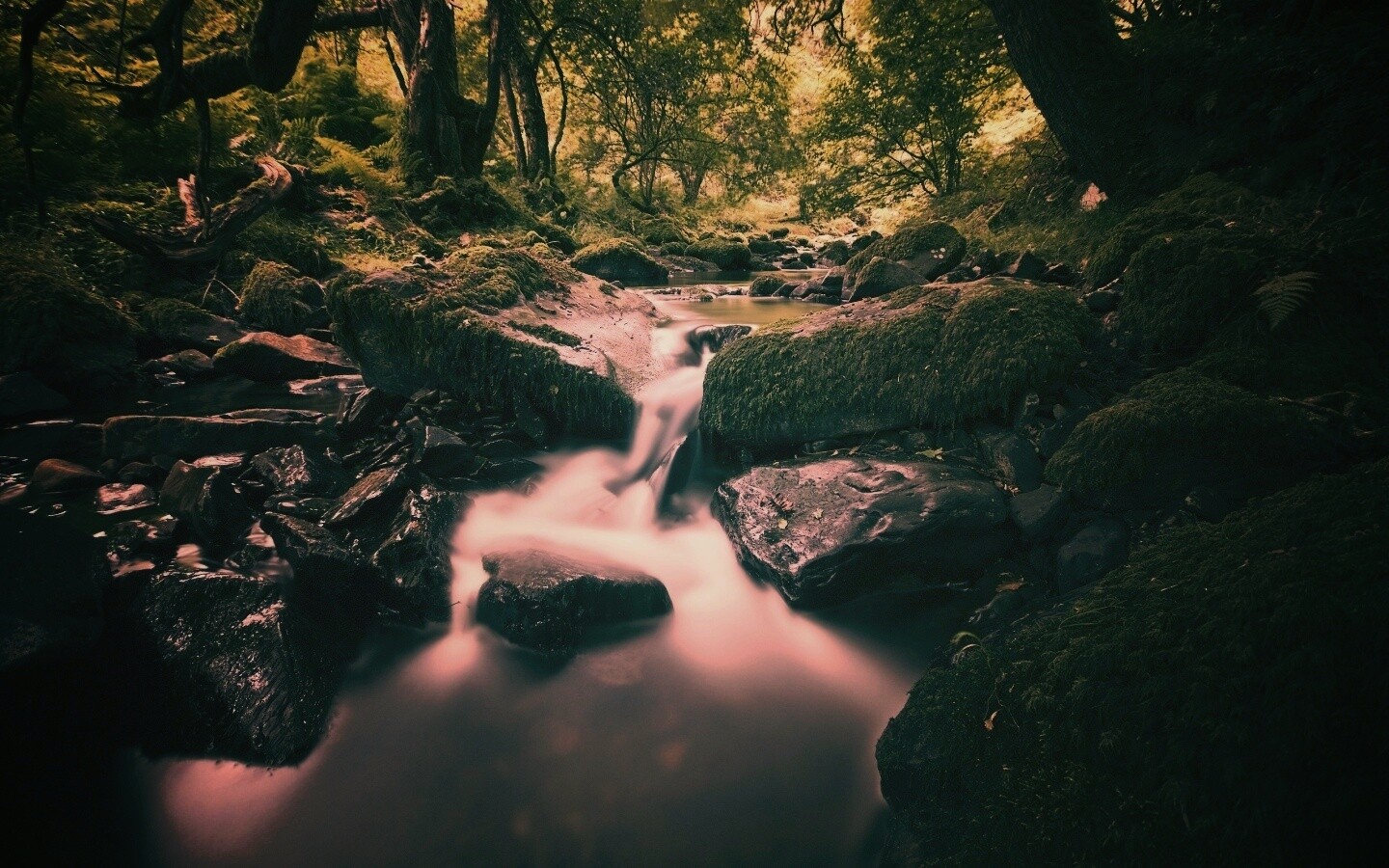 Речной поток в лесу обои