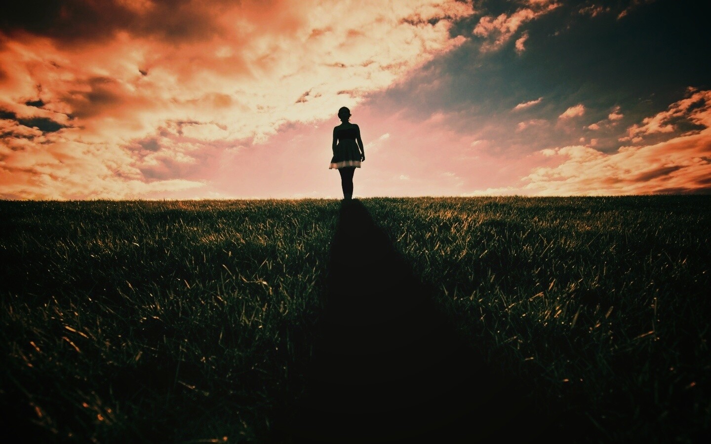Силуэт девочки на поле обои