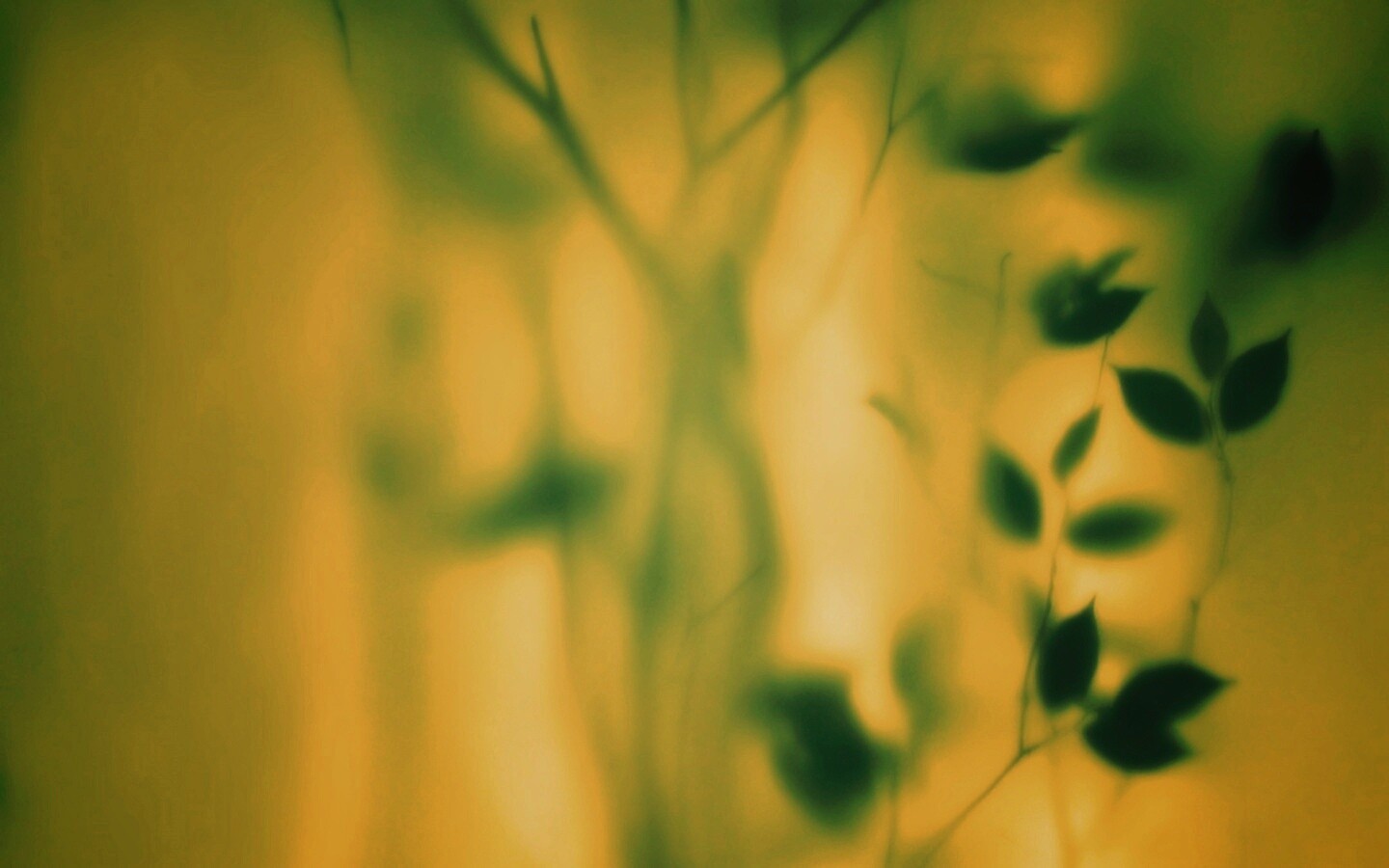 Зелень за стеклом обои