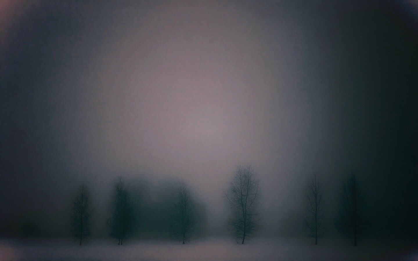 Деревья в тумане обои