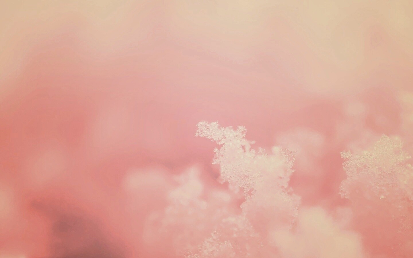 Макро фото снега обои