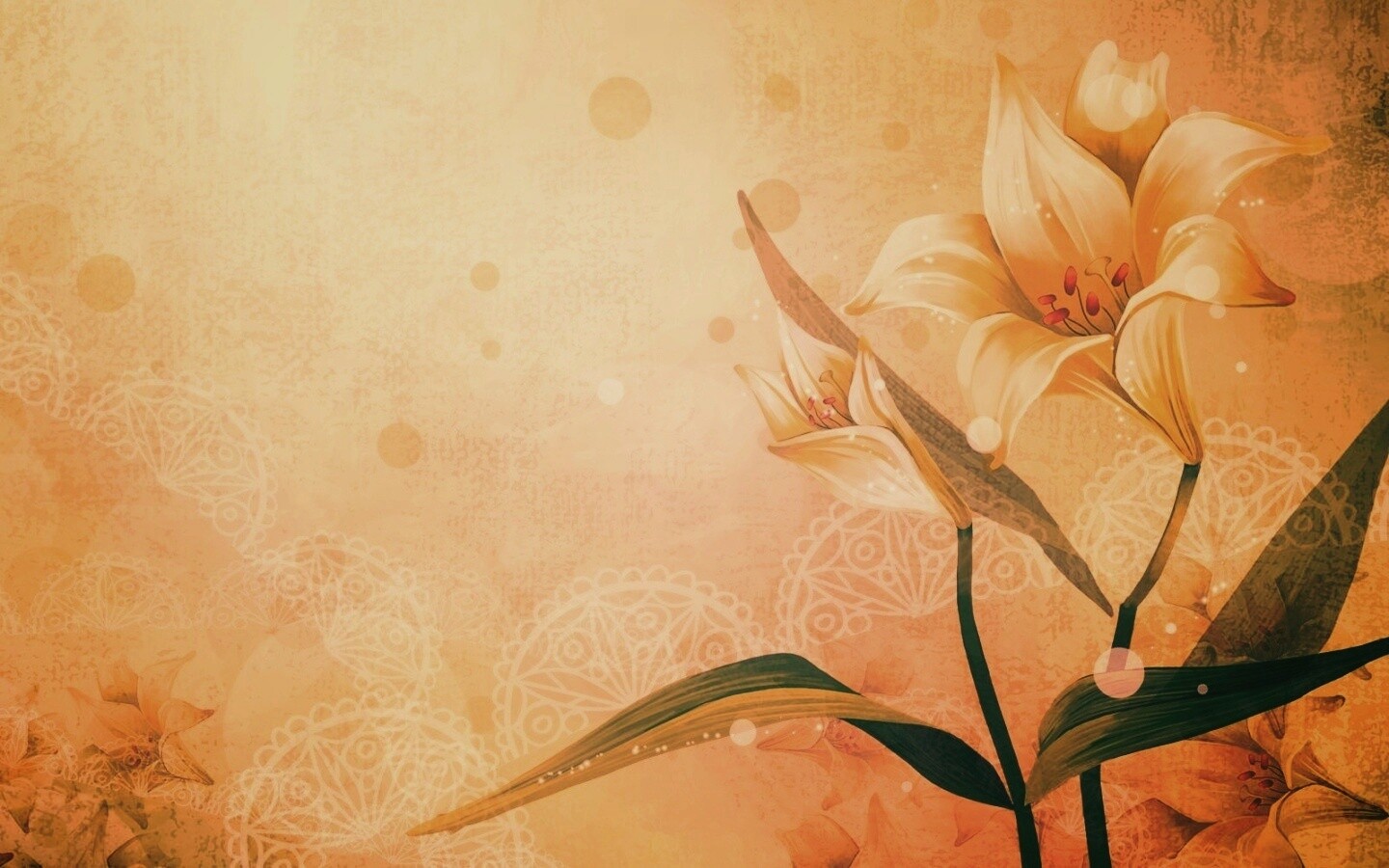 Красивое изображение лилии обои