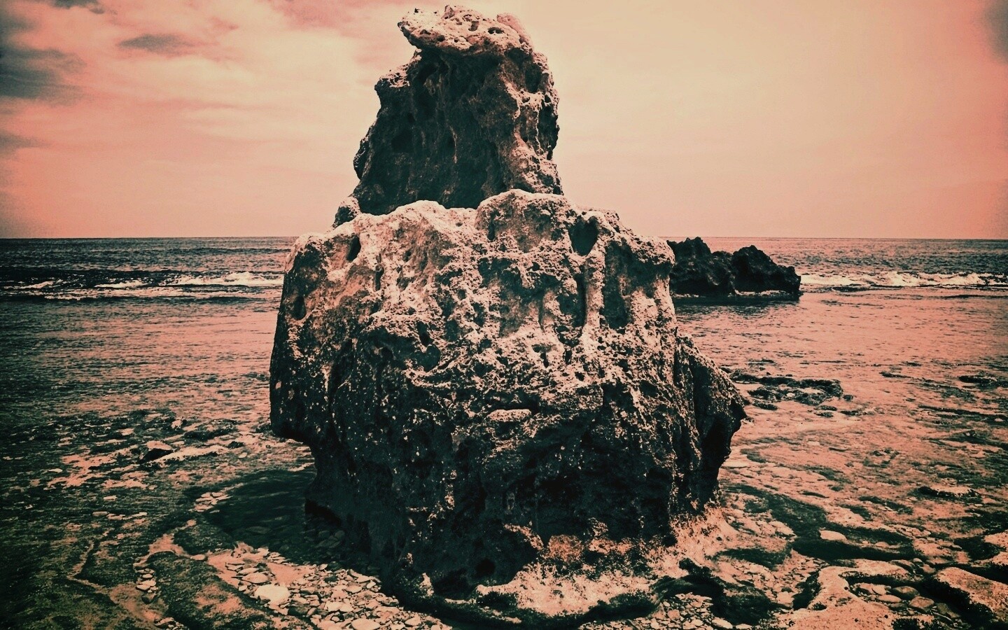 Коралловый риф обои