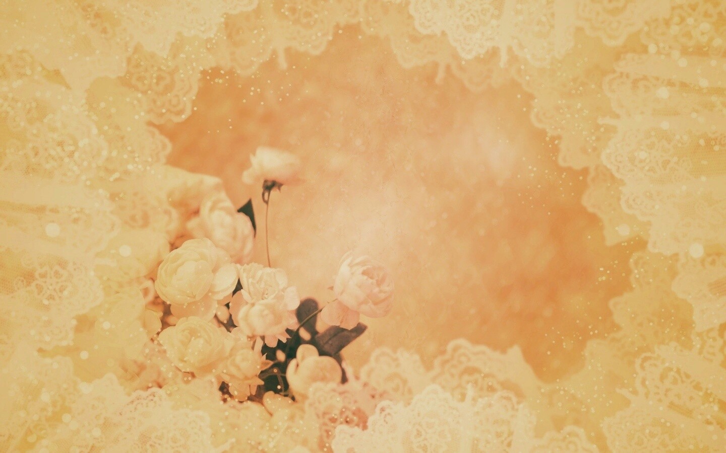 Бежевые кружева и розы обои
