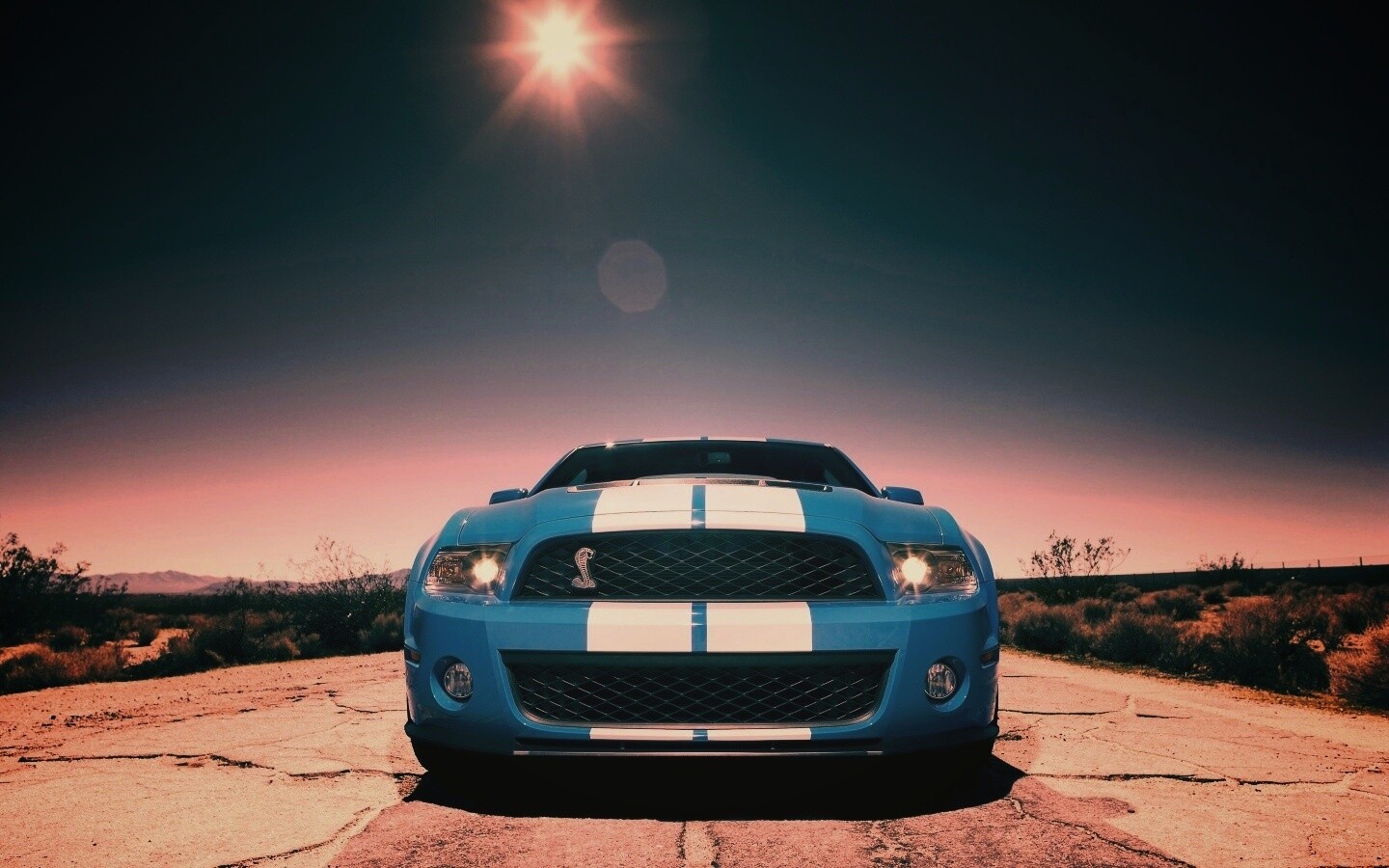 Форд Шелби обои