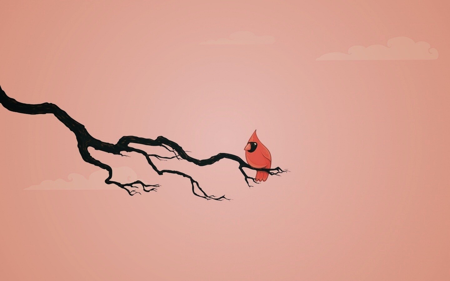 Красная птица на ветке обои