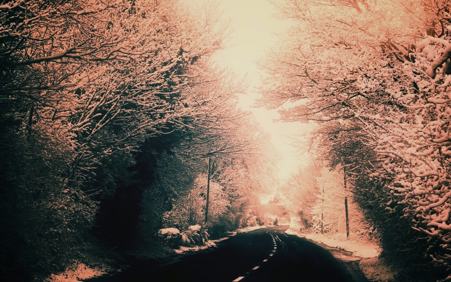 Дорога через зимний лес обои