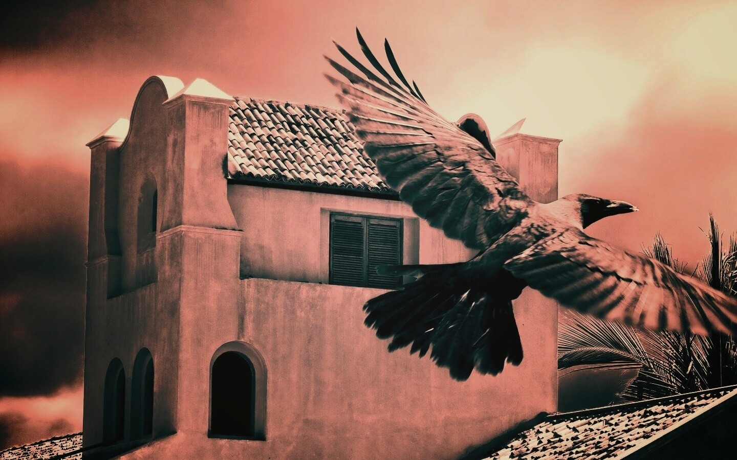 Полёт ворона обои