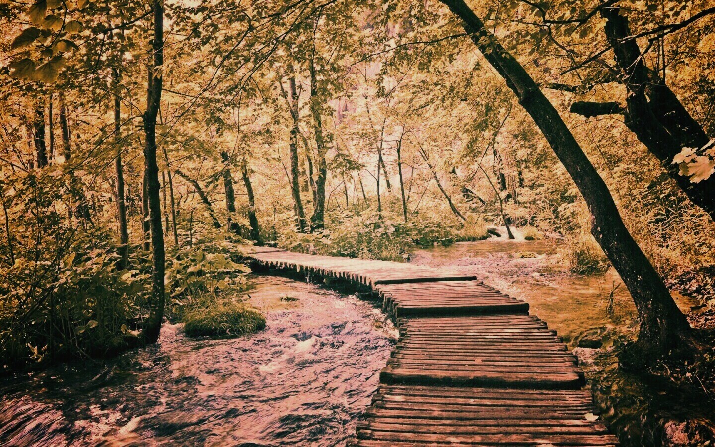 Тропинка над водой обои