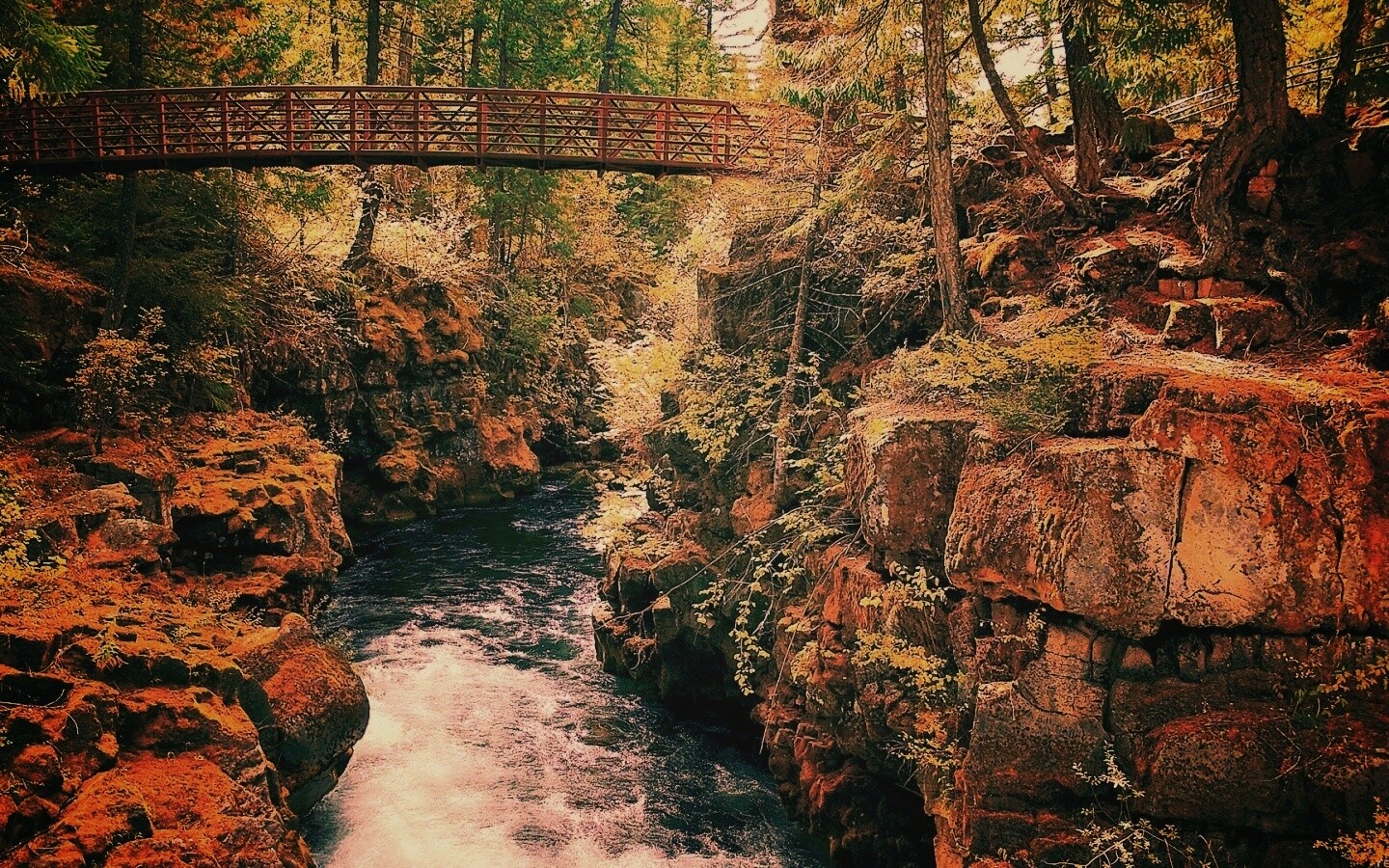 Мостик через реку в лесу обои