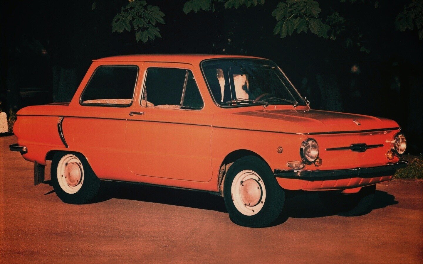 Оранжевый ушастый запорожец обои