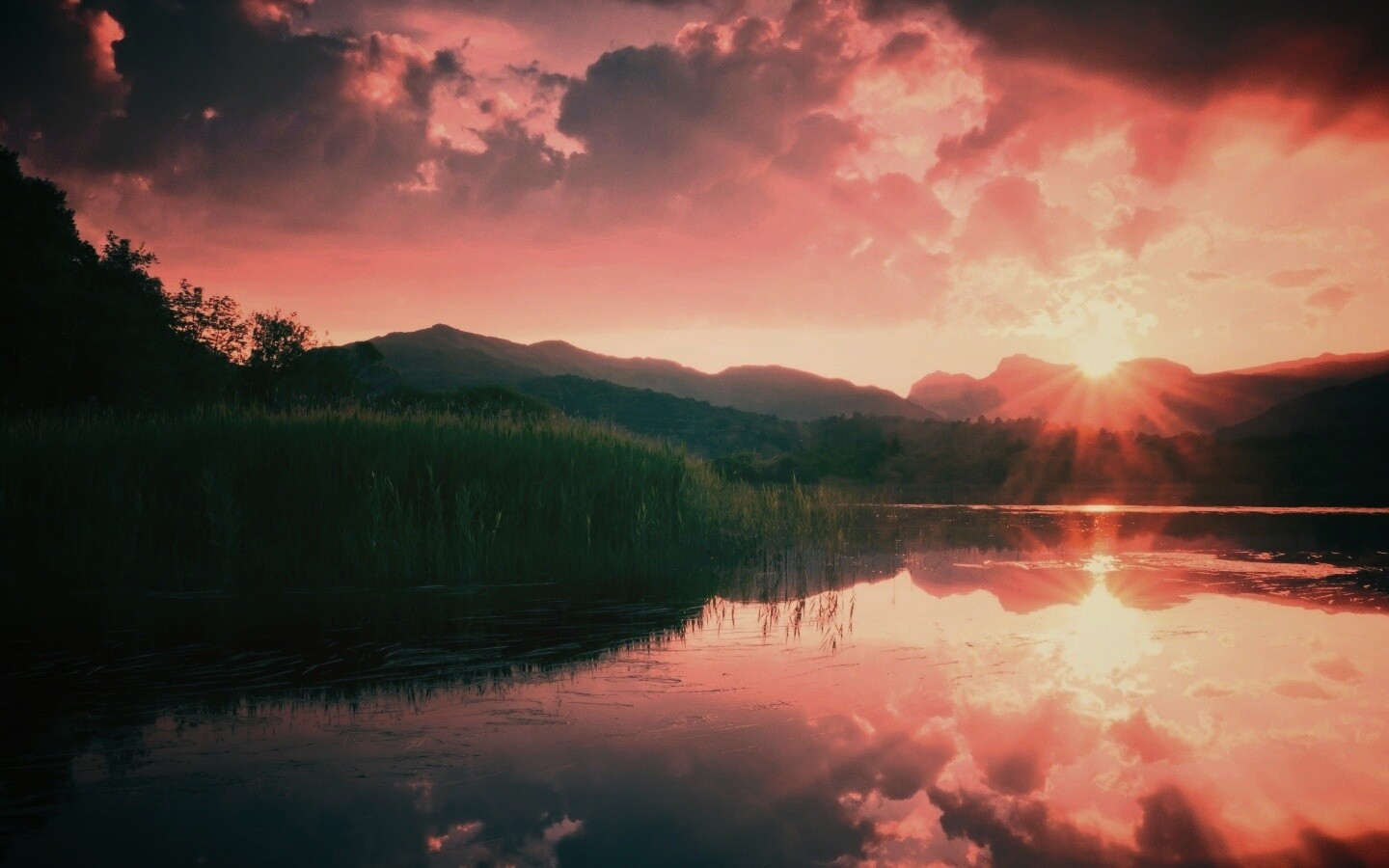 Закат за лесом обои