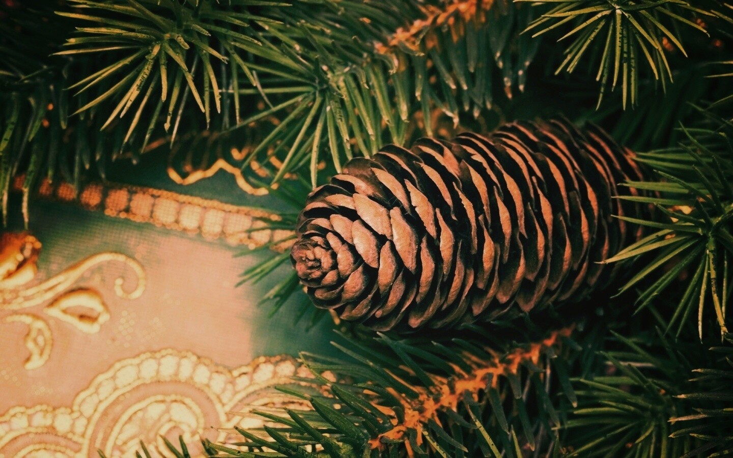 Шишка на елке обои