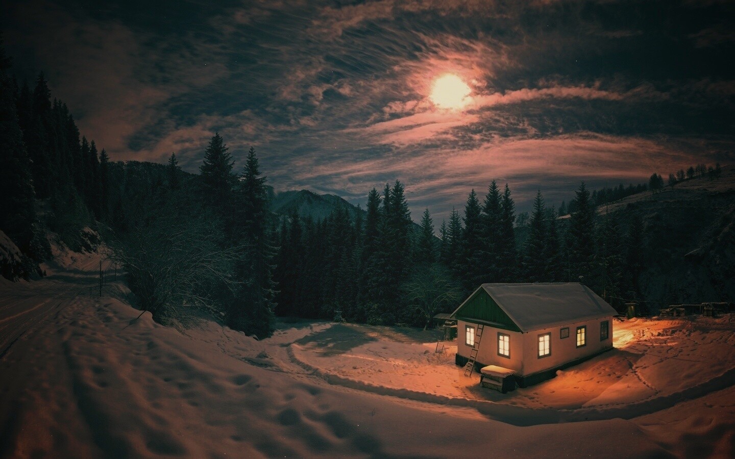 Один в зимнем лесу обои