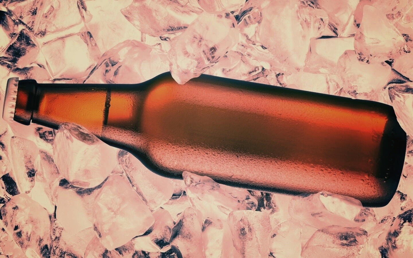 Бутылка пива во льду обои