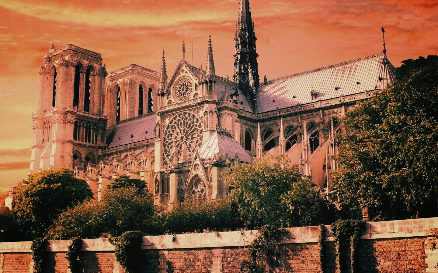 Собор парижской Богоматери обои
