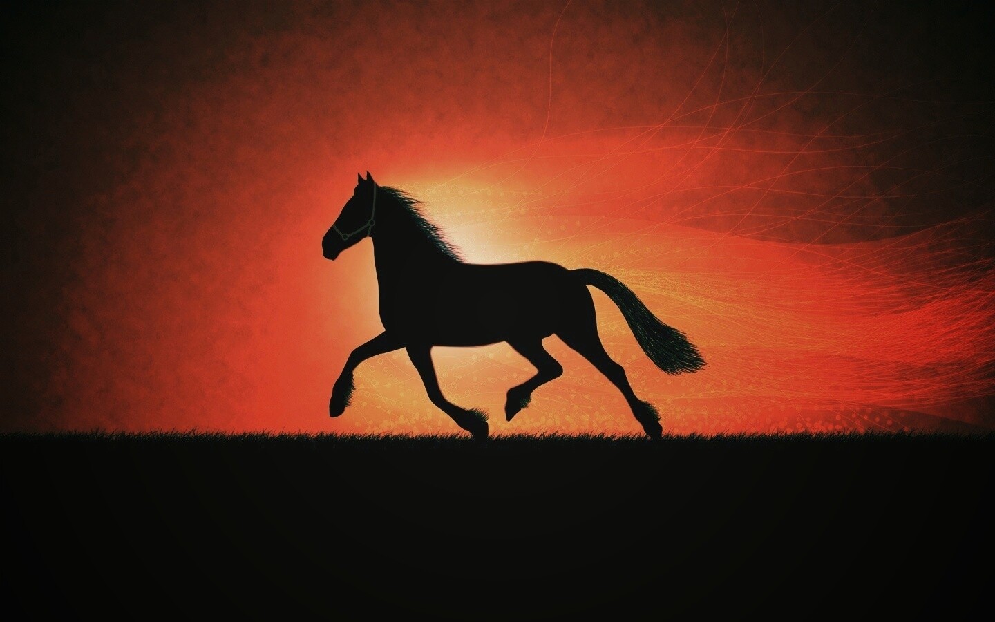 Силует коня на закате обои