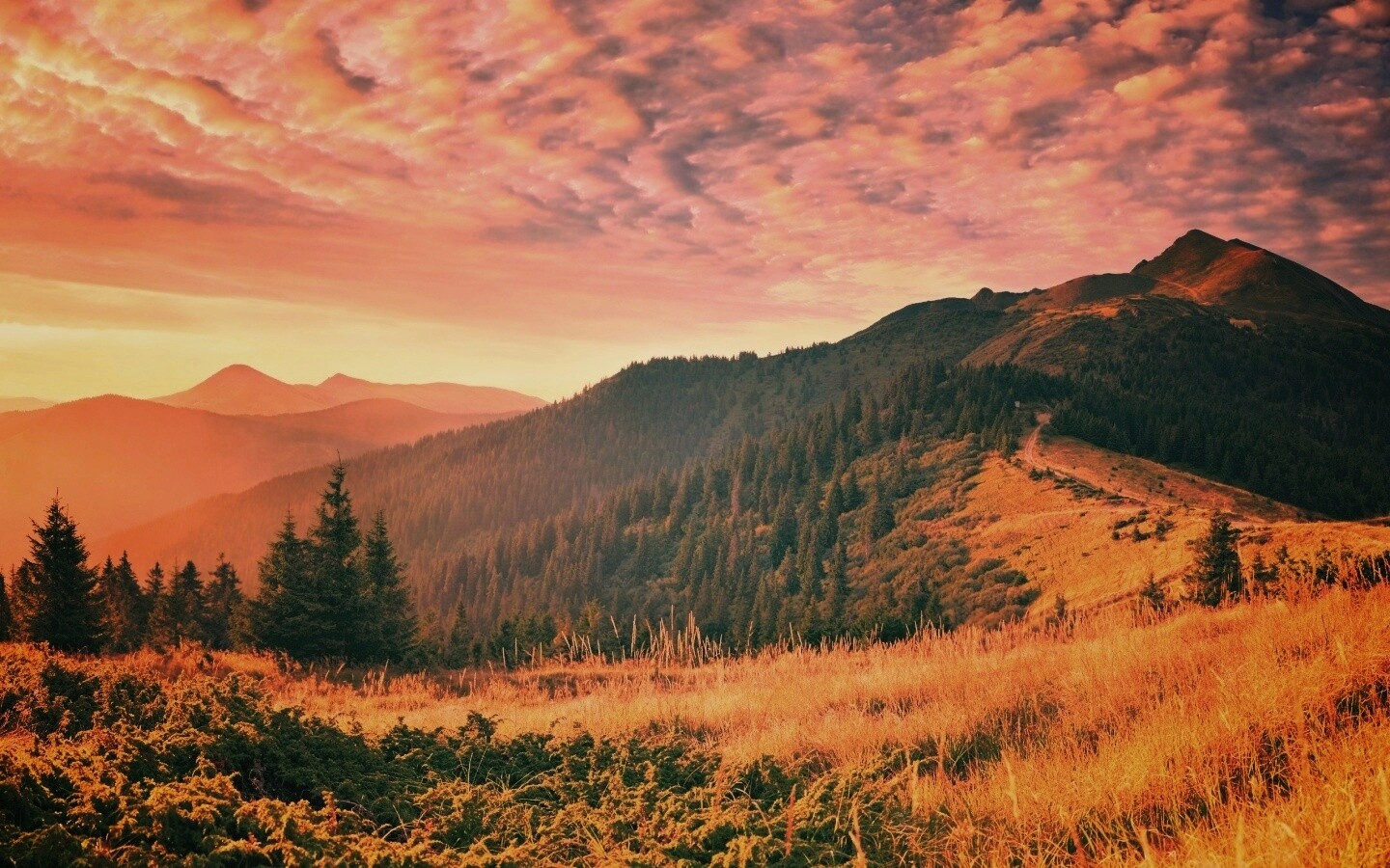 Предгорье обои