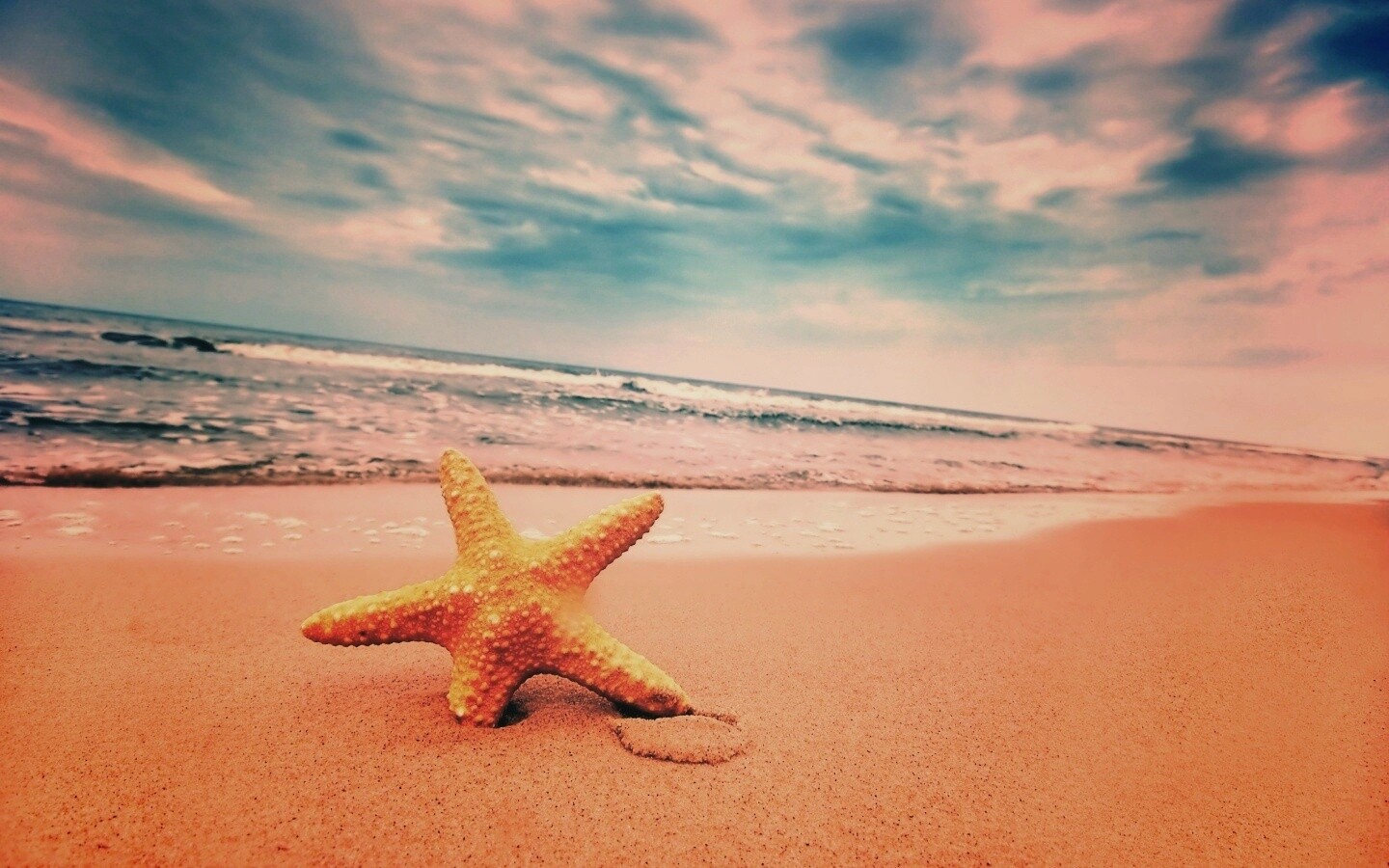 Морская звезда в песке обои