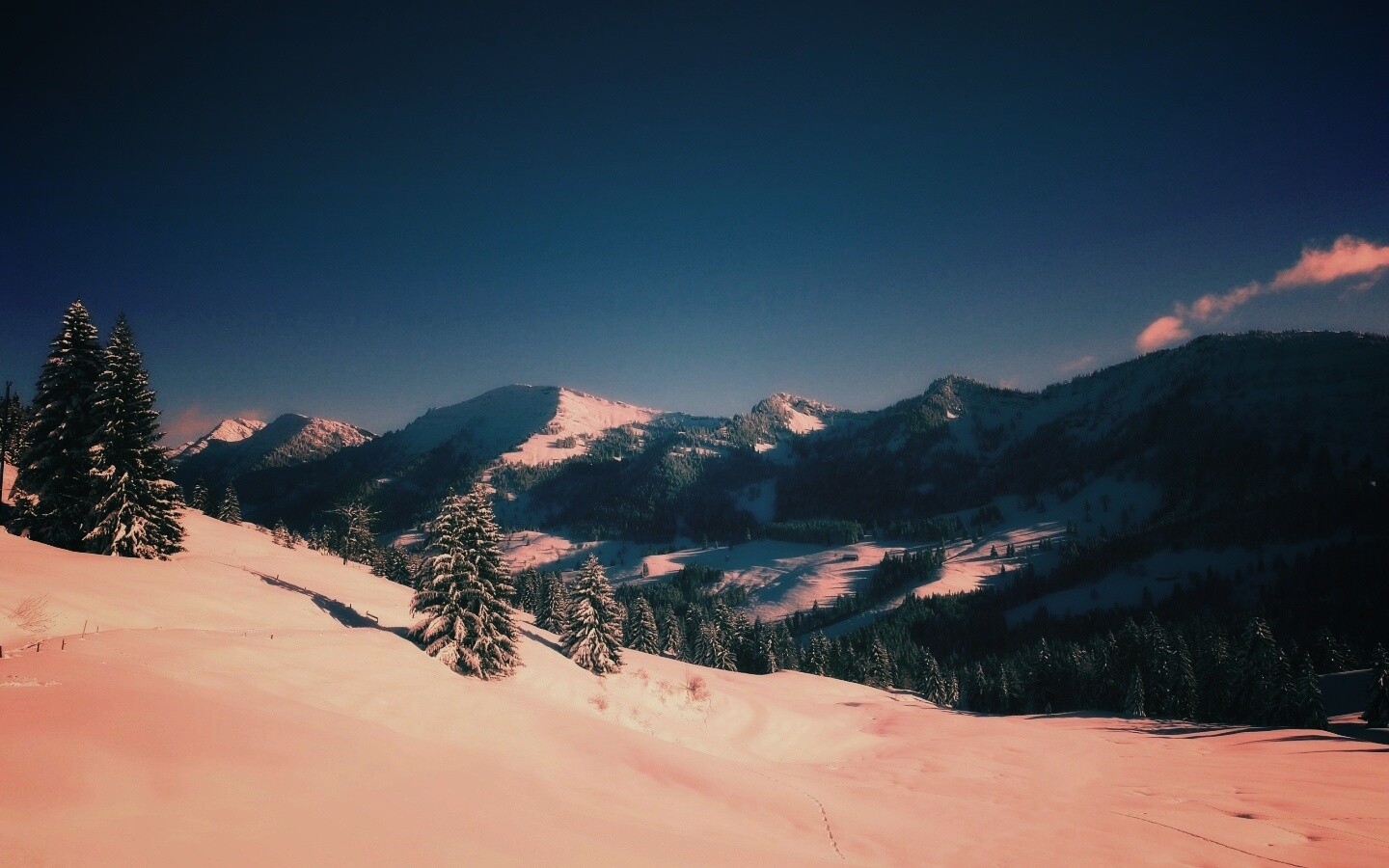 Лес в горах обои