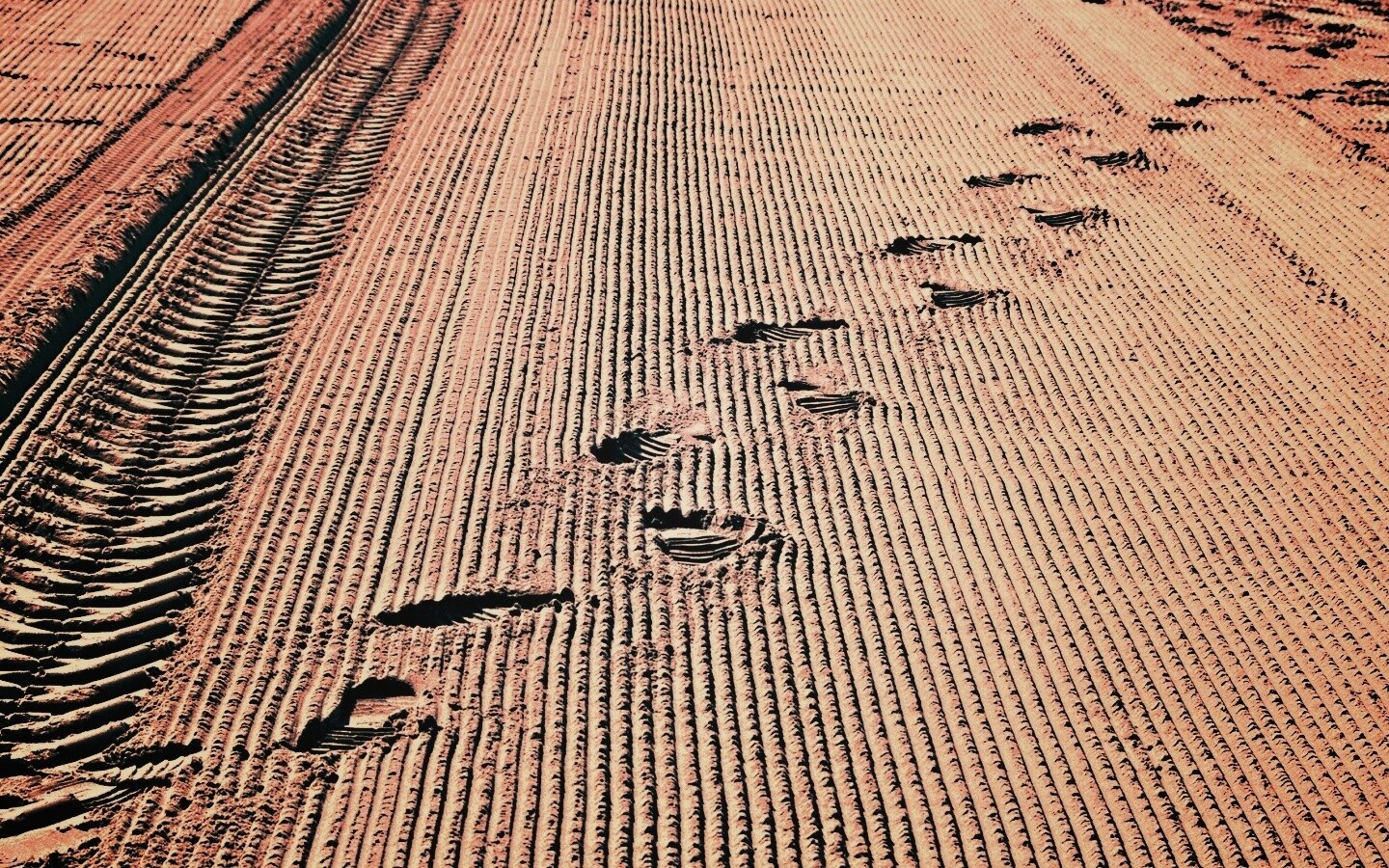 Следы на песке обои